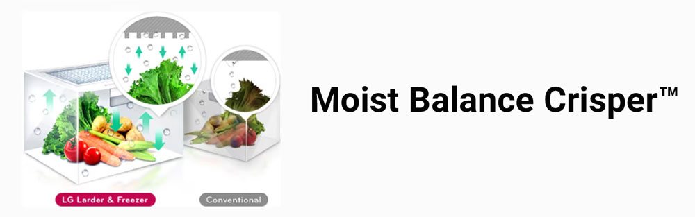 قابلیت Moist Balance Crisper در یخچال فریزر 40 فوت ال جی مدل 411-414